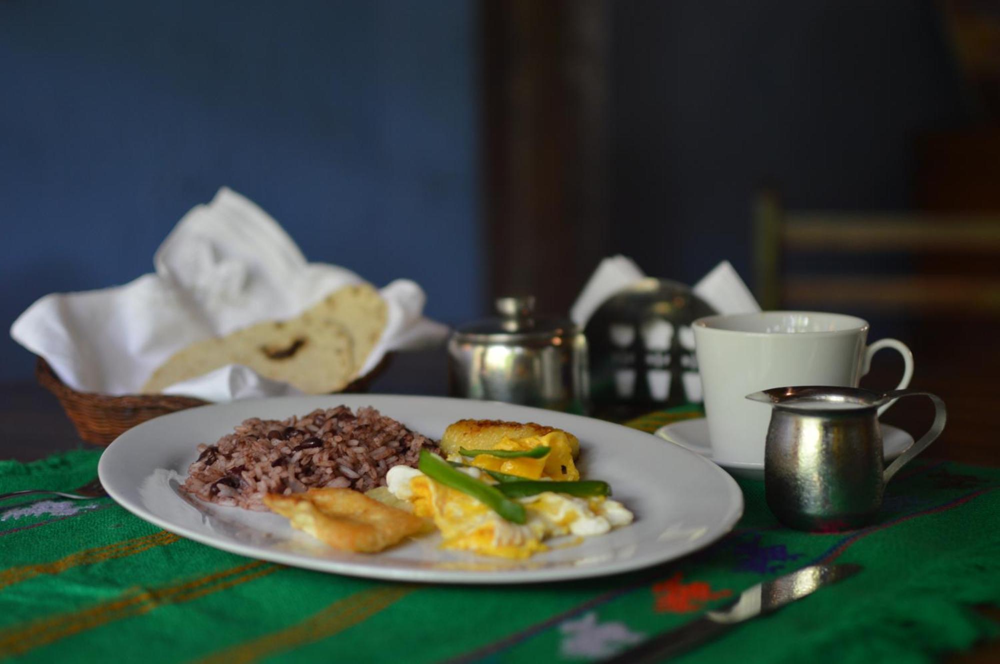 Hostal Fuente Castalia, B Y B León 외부 사진